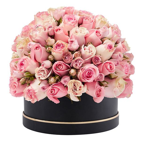 Pink roses with classic box