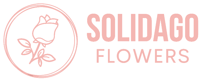 solidagoflowers